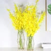 Wholesale of Nordic ins ironwork golden glass vases for living room desktop decoration, dry flower hydroponic flower arrangements and ornaments details Picture